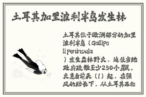 30部三 电视剧开心见梦